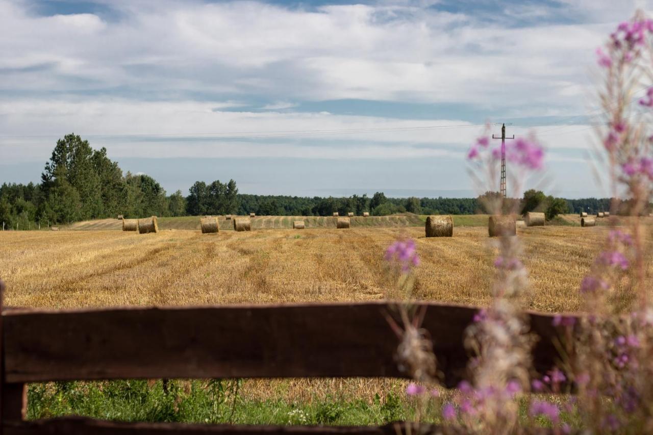 Villa Lesna 21 Dom Polnoc Przy Zalew Siemianowka Luka Exterior foto